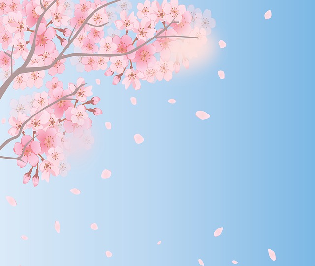 桜の夢占い
